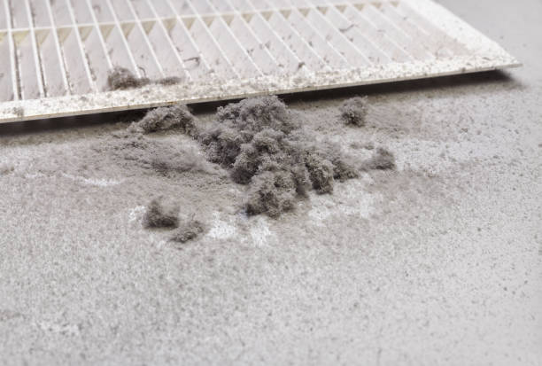 Best Commercial Air Duct Cleaning  in Ligonier, IN
