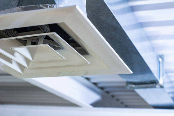 Best Dryer Vent Cleaning Services  in Ligonier, IN