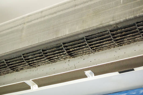 Best Home Air Vent Cleaning  in Ligonier, IN